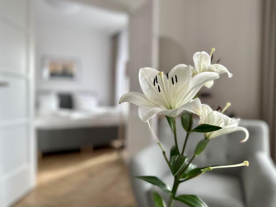 Premium Apartment By Hi - Central 2 Bedroom - Best View Budapest Eksteriør billede